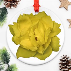 Isolated Yellow Rose Photo Round Ornament (two Sides)  by dflcprints