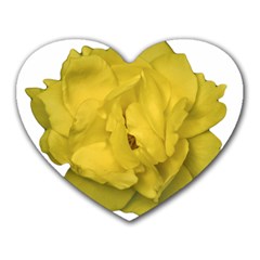 Isolated Yellow Rose Photo Heart Mousepads by dflcprints