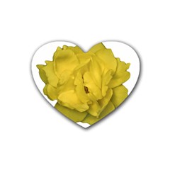 Isolated Yellow Rose Photo Rubber Coaster (heart)  by dflcprints