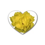 Isolated Yellow Rose Photo Rubber Coaster (Heart)  Front