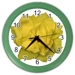 Isolated Yellow Rose Photo Color Wall Clocks