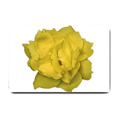 Isolated Yellow Rose Photo Small Doormat  by dflcprints