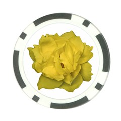 Isolated Yellow Rose Photo Poker Chip Card Guards