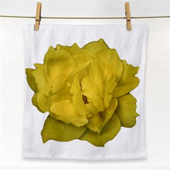 Isolated Yellow Rose Photo Face Towel