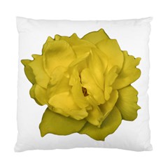 Isolated Yellow Rose Photo Standard Cushion Cases (two Sides) 