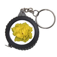 Isolated Yellow Rose Photo Measuring Tapes