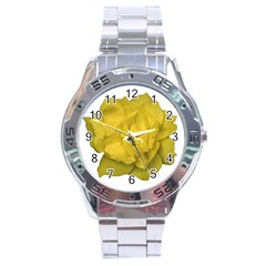 Isolated Yellow Rose Photo Stainless Steel Men s Watch by dflcprints