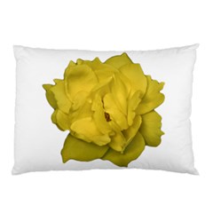 Isolated Yellow Rose Photo Pillow Cases (two Sides) by dflcprints