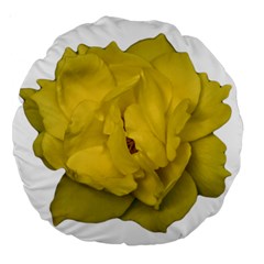 Isolated Yellow Rose Photo Large 18  Premium Round Cushions