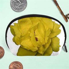 Isolated Yellow Rose Photo Accessory Pouches (large) 