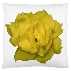 Isolated Yellow Rose Photo Standard Flano Cushion Cases (one Side) 