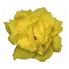 Isolated Yellow Rose Photo Double Sided Flano Blanket (small) 