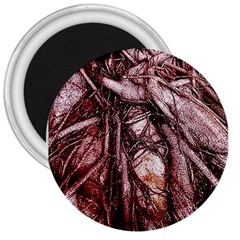 The Bleeding Tree 3  Magnets