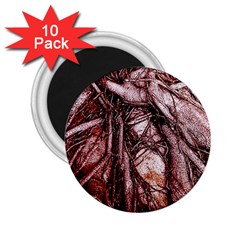 The Bleeding Tree 2 25  Magnets (10 Pack) 