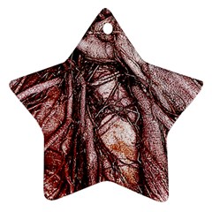 The Bleeding Tree Star Ornament (two Sides) 