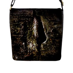 A Deeper Look Flap Messenger Bag (l) 