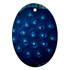 Blue Plant Ornament (oval) 