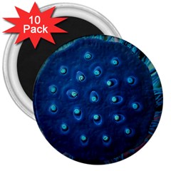 Blue Plant 3  Magnets (10 Pack) 