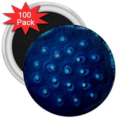 Blue Plant 3  Magnets (100 Pack)