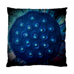 Blue Plant Standard Cushion Case (one Side)  by InsanityExpressedSuperStore