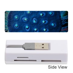 Blue Plant Memory Card Reader (stick) 