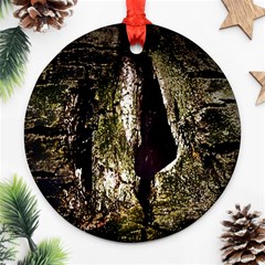 A Deeper Look Ornament (round) 