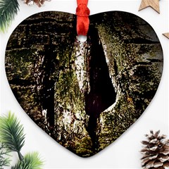 A Deeper Look Ornament (heart)  by InsanityExpressedSuperStore