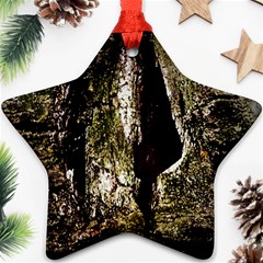 A Deeper Look Ornament (star)  by InsanityExpressedSuperStore