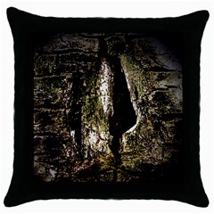 A Deeper Look Throw Pillow Cases (black)