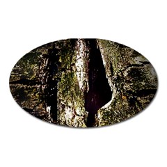 A Deeper Look Oval Magnet