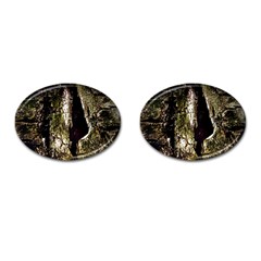 A Deeper Look Cufflinks (oval)