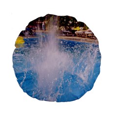 Splash 3 Standard 15  Premium Round Cushions