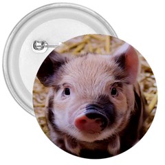 Sweet Piglet 3  Buttons