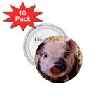 Sweet Piglet 1.75  Buttons (10 pack) Front