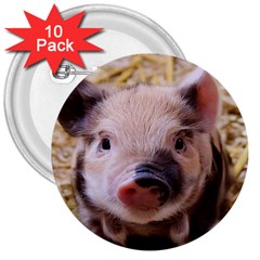 Sweet Piglet 3  Buttons (10 Pack) 