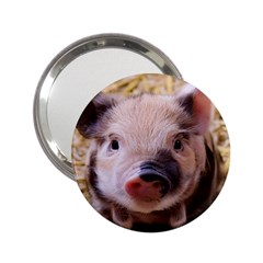 Sweet Piglet 2 25  Handbag Mirrors