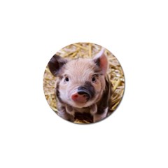 Sweet Piglet Golf Ball Marker