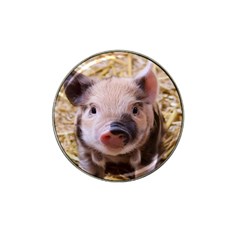 Sweet Piglet Hat Clip Ball Marker (4 Pack)