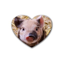 Sweet Piglet Rubber Coaster (heart)  by ImpressiveMoments