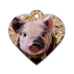 Sweet Piglet Dog Tag Heart (two Sides)