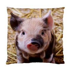 Sweet Piglet Standard Cushion Cases (two Sides) 