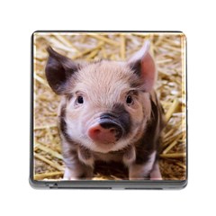 Sweet Piglet Memory Card Reader (square)