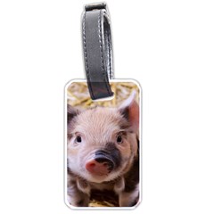 Sweet Piglet Luggage Tags (one Side) 