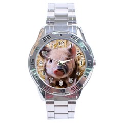 Sweet Piglet Stainless Steel Men s Watch