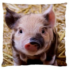 Sweet Piglet Large Cushion Cases (one Side) 