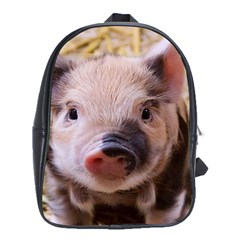 Sweet Piglet School Bags (xl) 