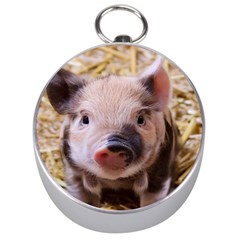 Sweet Piglet Silver Compasses