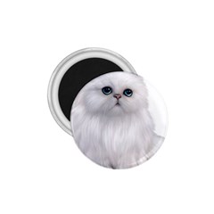 White Persian Cat Clipart 1 75  Magnets