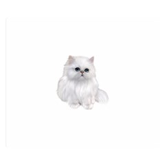 White Persian Cat Clipart Double Sided Flano Blanket (small) 