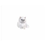 White Persian Cat Clipart Double Sided Flano Blanket (Medium)  60 x50  Blanket Front